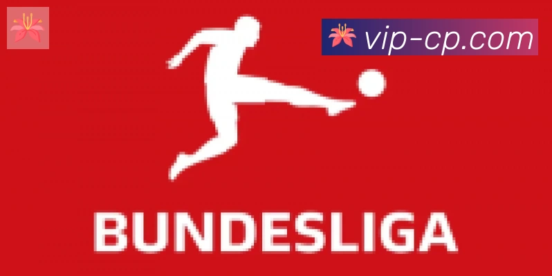 TCG彩票官网合作伙伴